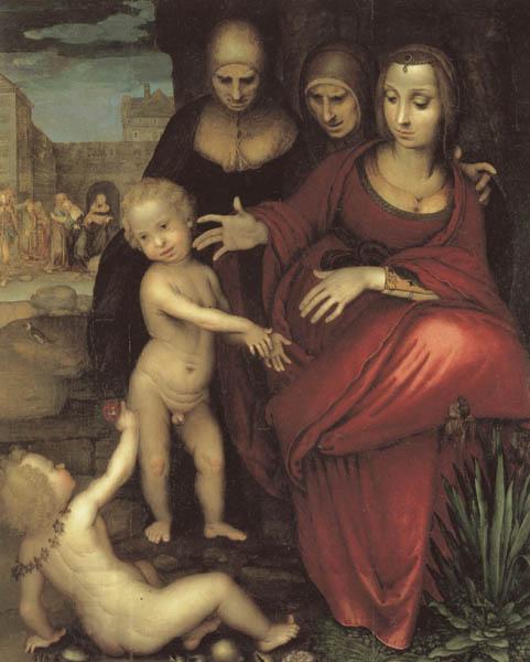 YANEZ DE LA ALMEDINA, Fernando St.Anne,the Virgin;St Elizabeth,St,john,and the Christ Child oil painting picture